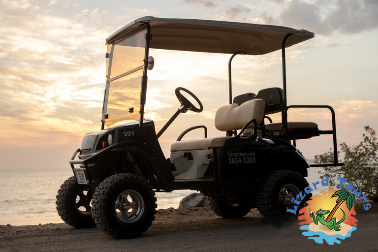 4 passenger Golf cart