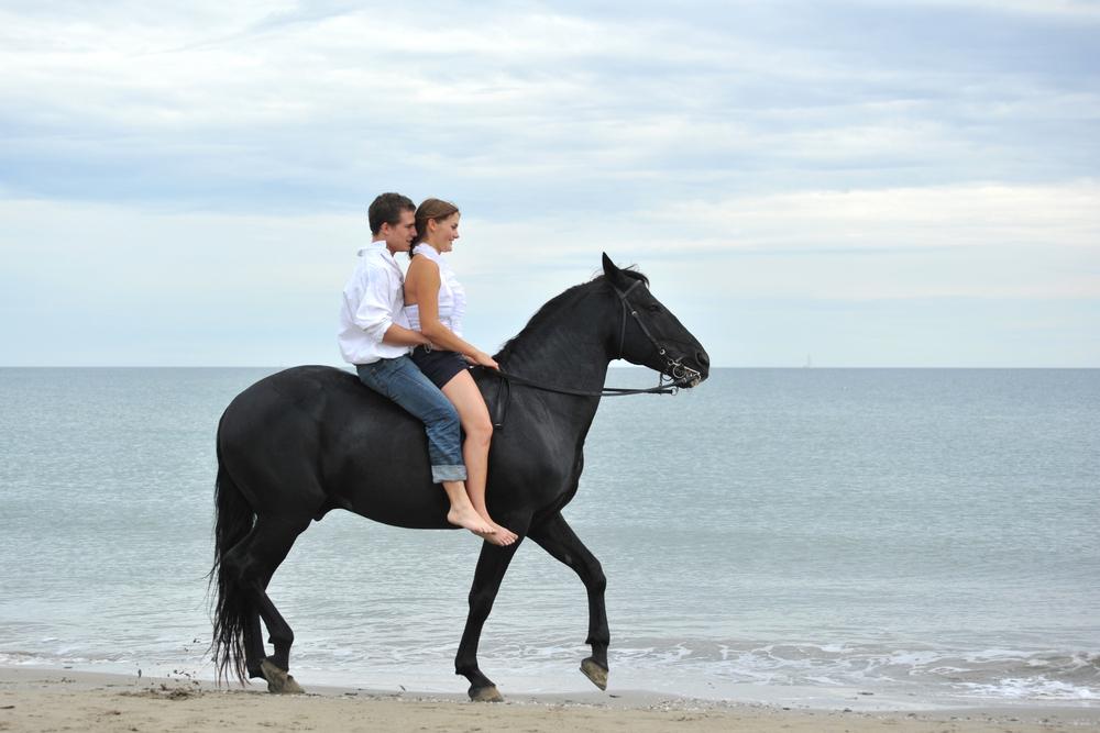 Gallop-on-the-Beach-on-the-Back-of-a-Horse