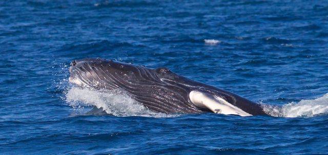 atv-snorkeling-tour-4