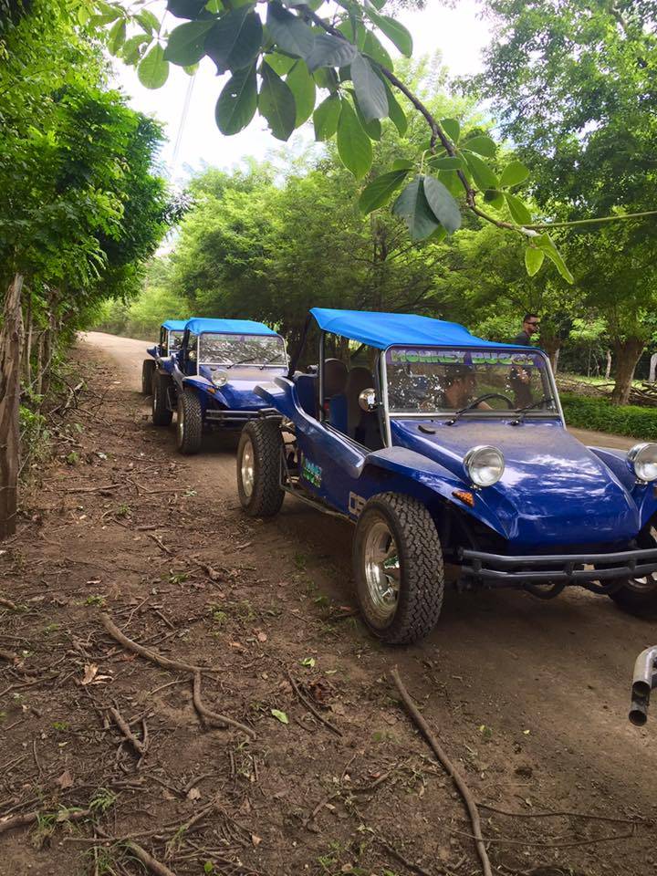 culture-buggy-tour-2