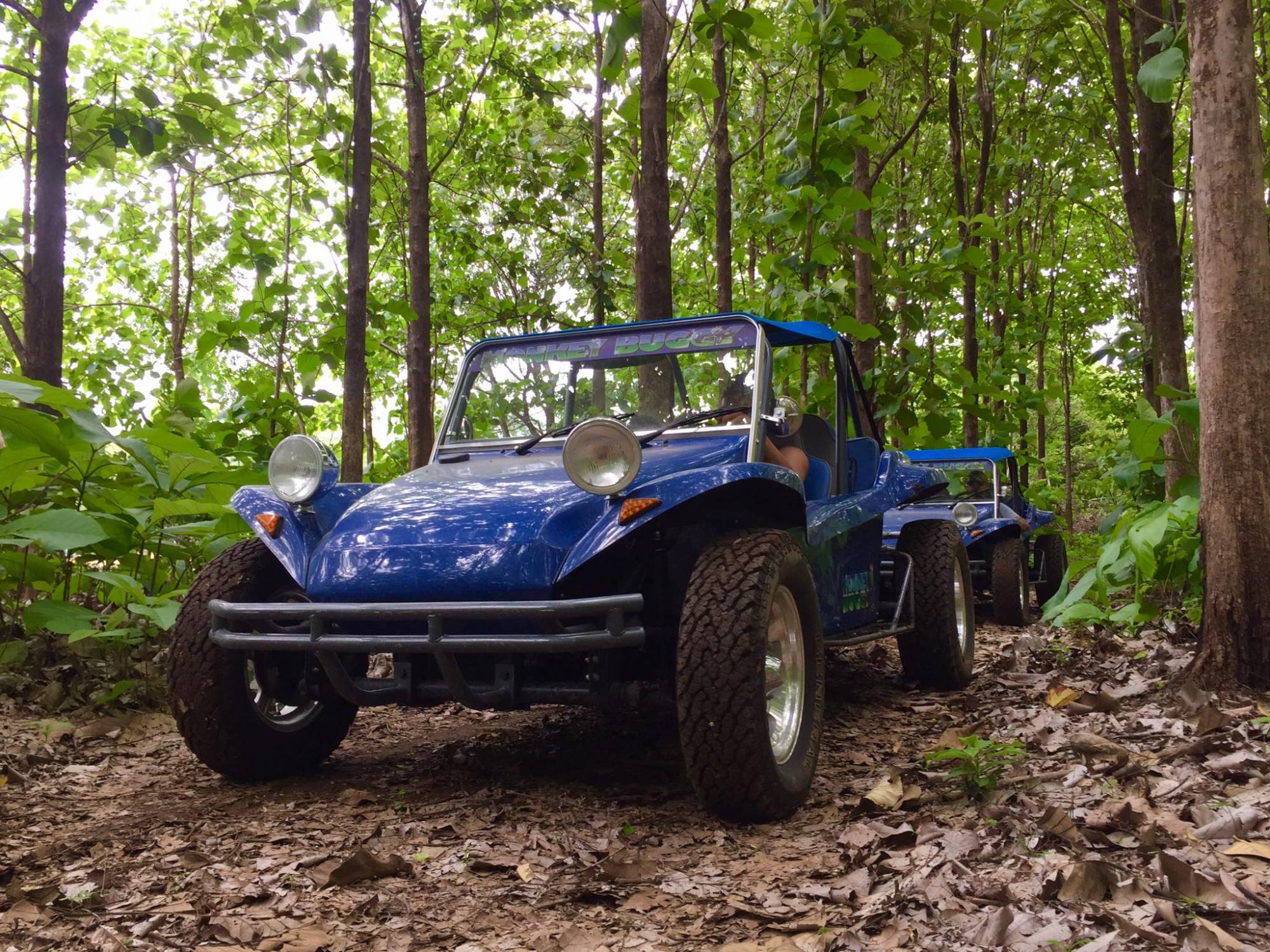 culture-buggy-tour-6